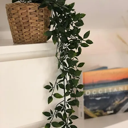 Lägenhet Chaleureux Studio Mansarde - Coeur De De