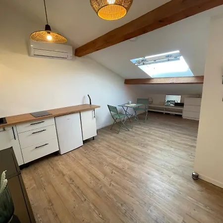 Chaleureux Studio Mansarde - Coeur De De 塞特港