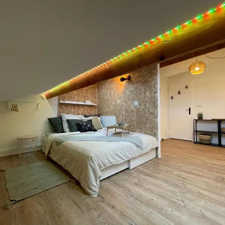 Chaleureux Studio Mansarde - Coeur De De 公寓 塞特港