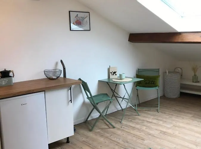 Lejlighed Chaleureux Studio Mansarde - Coeur De De *